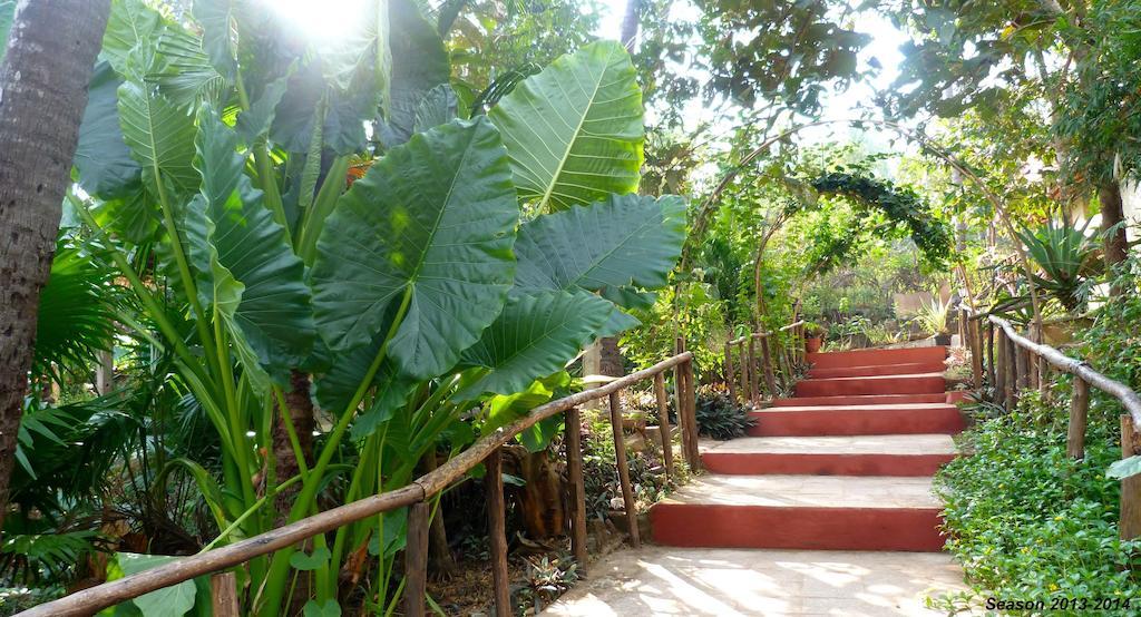 Secret Garden Resort Patnem Beach Exteriör bild