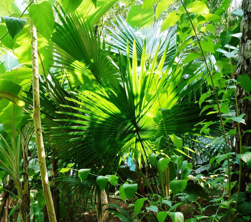 Secret Garden Resort Patnem Beach Exteriör bild
